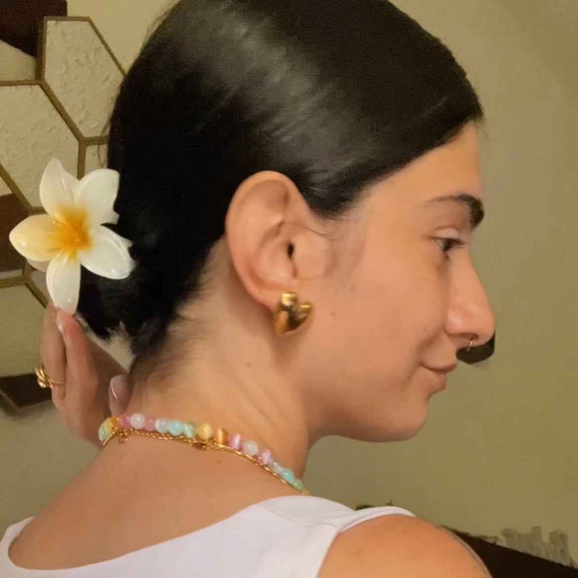 Hawaii HairClip