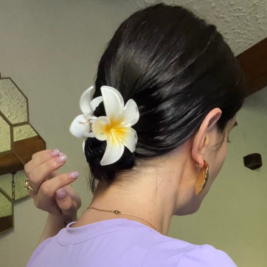 Hawaii HairClip